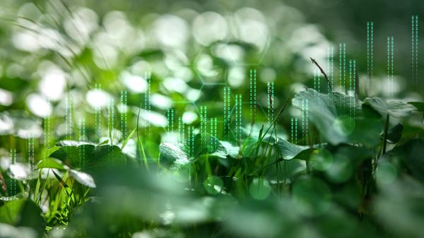 illustratieve foto green social sustainability bonds 2