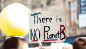 No planet B