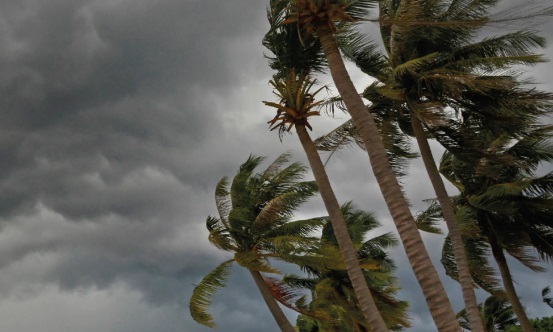 Investment Letter november 2018