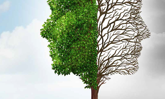 Investment Letter september 2017