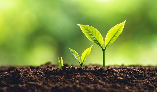 AIM banner MVB special