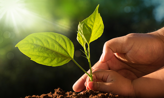 MVB- en impactbeliefs