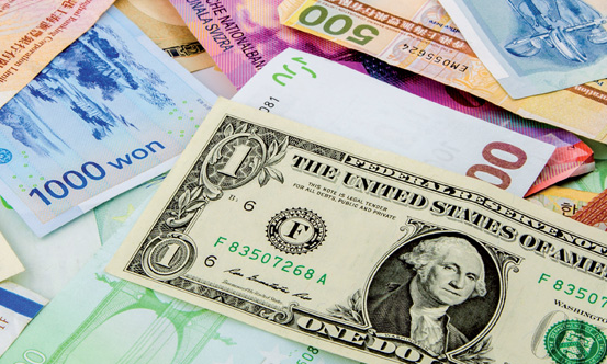 White Paper Valutarisico